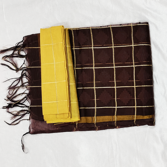 Pure handloom hakoba silk saree with check weaves