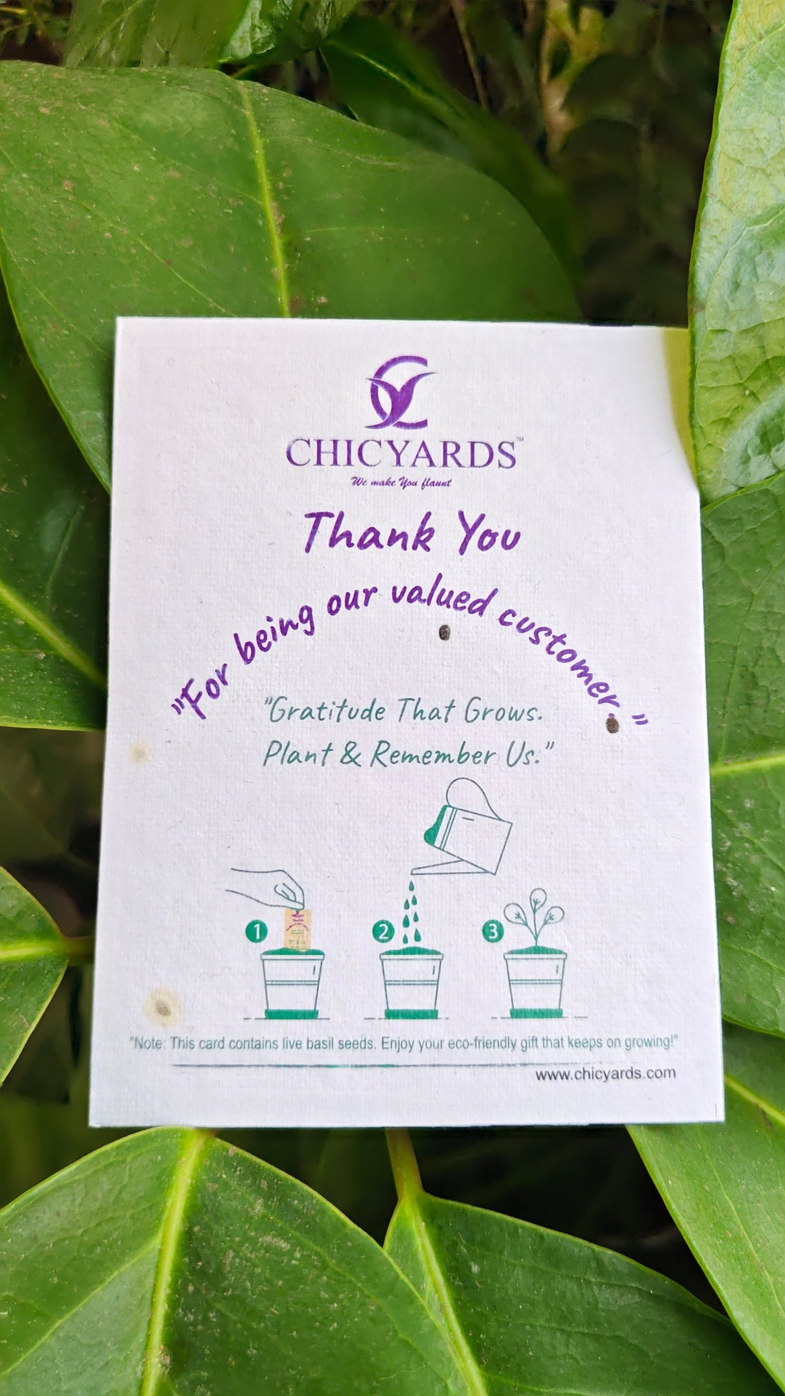 Basil seed Thank you card, seed embedded card for growing greens